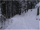 Grahovše - Planina Zgornja Konjščica